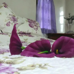 Отель Heavenly Home Inn 2* Стандартный номер с различными типами кроватей фото 14