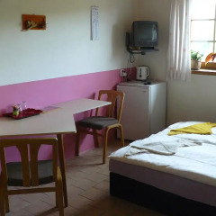 Отель Penzion Mašek 3* Стандартный номер