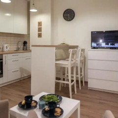 Отель Raugyklos Apartamentai Вильнюс в номере фото 2