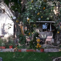 Отель Butterfly Guest House Фаралья помещение для мероприятий фото 2
