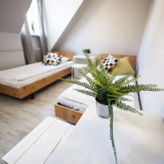 Bi-Pi Hostel Стандартный номер с разными типами кроватей фото 18