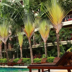 Отель Rawai Suites Phuket