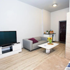 Апартаменты Studio Apartament Centrum Katowice Апартаменты с различными типами кроватей фото 7