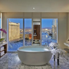 Отель Waldorf Astoria Las Vegas 5* Люкс с различными типами кроватей фото 7
