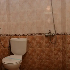 Family Hotel Varbitsa 2* Стандартный номер фото 6