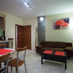 Отель Apartamenty U Młodych Закопане комната для гостей фото 3