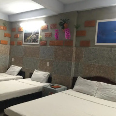 Terra Cotta Homestay and Hostel Кровать в общем номере с двухъярусной кроватью