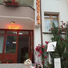 Отель Yagodina Family Hotel Болгария, Чепеларе - отзывы, цены и фото номеров - забронировать отель Yagodina Family Hotel онлайн питание фото 3