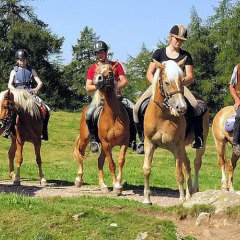 Отель Oberfahrerhof Терлано приотельная территория