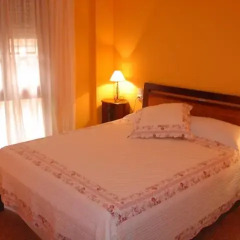 Отель Hostal Restaurante Arasa Стандартный номер с различными типами кроватей фото 3