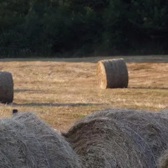 Отель Agriturismo Montassi E Bruscolaio Монтеварчи парковка
