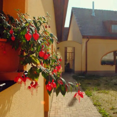Отель Sport - Relax Buky Чехия, Франтишкови-Лазне - отзывы, цены и фото номеров - забронировать отель Sport - Relax Buky онлайн балкон