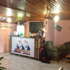 Puffin Hostel интерьер отеля