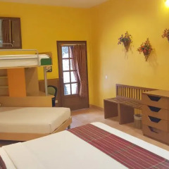 Отель Birds & Bees Resort интерьер отеля фото 2