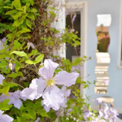 Отель DolceVita B&b Италия, Рубано - отзывы, цены и фото номеров - забронировать отель DolceVita B&b онлайн фото 6