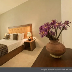 Отель Palm Beach Inn and Sea Shells Cabanas 3* Номер Делюкс с различными типами кроватей фото 12