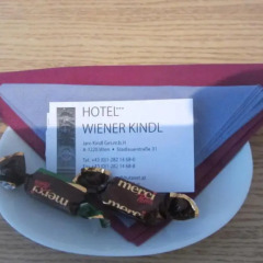 Hotel Wiener Kindl 3* Стандартный номер фото 4