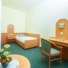 Отель Pension Sprinzl 3* Стандартный номер фото 6