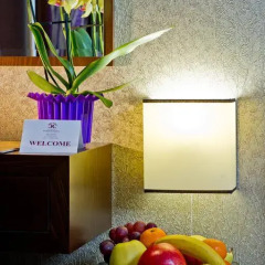 Spa Hotel Sveti Nikola 4* Стандартный номер фото 7