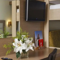 Отель Palmet Beach Resort в номере фото 2