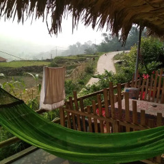 Sapa Tavan Hostel Шапа приотельная территория