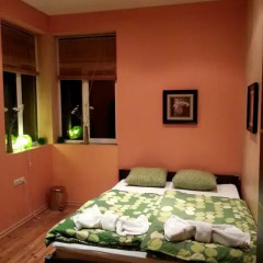 Elegance Hostel and Guesthouse Стандартный номер с различными типами кроватей фото 22