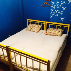 Zebra Hostel & Tours детские мероприятия фото 2