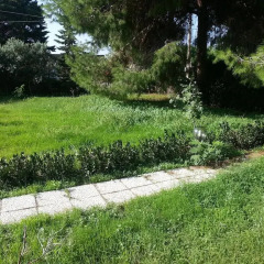 Отель Villa dei Cristalli Сиракуза