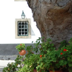 Отель House in a Farm 2km from the Ericeira Beach фото 5