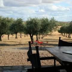 Отель Herdade do Monte Outeiro - Turismo Rural фото 2