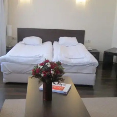 Отель Alexander Services Apartments in Aspen Apart Hotel Болгария, Банско - отзывы, цены и фото номеров - забронировать отель Alexander Services Apartments in Aspen Apart Hotel онлайн комната для гостей фото 3