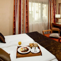 BEST WESTERN City Hotel, BW Premier Collection 4* Стандартный номер с двуспальной кроватью фото 11