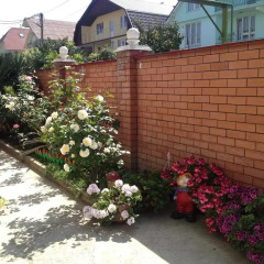 Гостиница Guest House Armenia фото 4