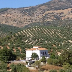 Отель Casa El CastaÑo Алькаудете фото 4