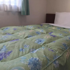 Shinseto Station Hotel 2* Улучшенный номер фото 2