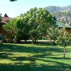 Отель Cirali Almira Bungalow 2* Бунгало с различными типами кроватей фото 12
