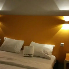 The Mulberry Hotel комната для гостей фото 2