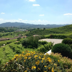 Отель Agriturismo Vedova Вальдоббьадене фото 2