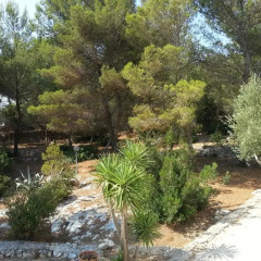 Отель Cala Luna Holiday Home Гальяно дель Капо фото 7