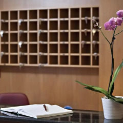 Отель Stalis Hotel Греция, Афины - отзывы, цены и фото номеров - забронировать отель Stalis Hotel онлайн интерьер отеля