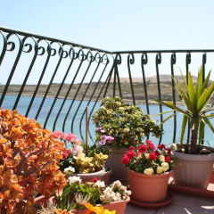 Отель White Dolphin Complex 3* Люкс с различными типами кроватей фото 5
