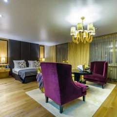 Гостиница Luciano Spa 5* Студия Делюкс с различными типами кроватей фото 10