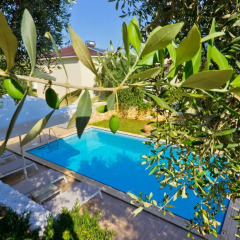 Отель Thassian Villas бассейн