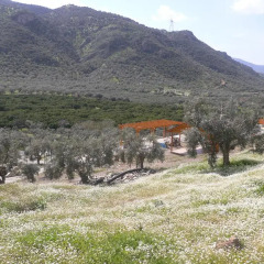 Natureland Efes 3* Стандартный номер с различными типами кроватей фото 5
