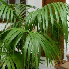 Отель Hostal Santa Catalina интерьер отеля