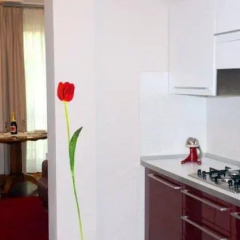 Отель Residenza Segrate Centro Srl 3* Апартаменты с различными типами кроватей фото 12