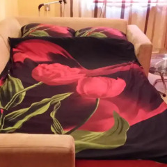 Отель Apartament Venge спа