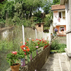 Отель Bonevi Guest House Болгария, Боженци - отзывы, цены и фото номеров - забронировать отель Bonevi Guest House онлайн фото 8