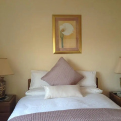 Отель Bunratty Villa B&B комната для гостей фото 2