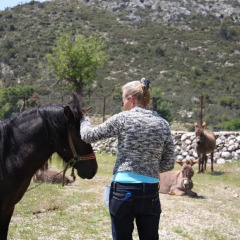 Отель Blacktree Farm and Cottages